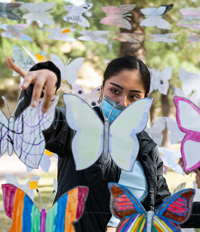 CAMP Mariposa Project